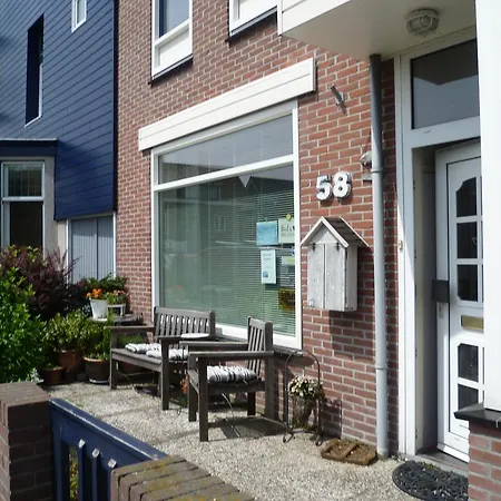 Anneke's